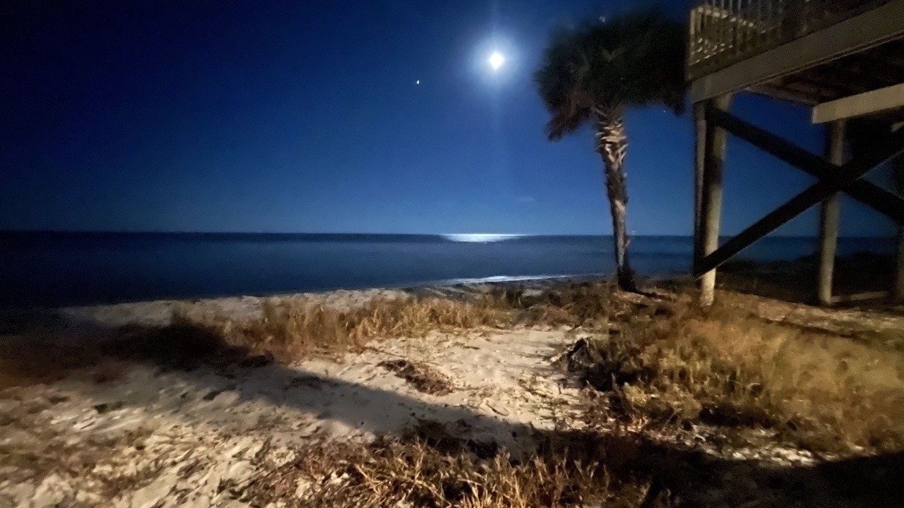 Photo of Others in Alligator Point