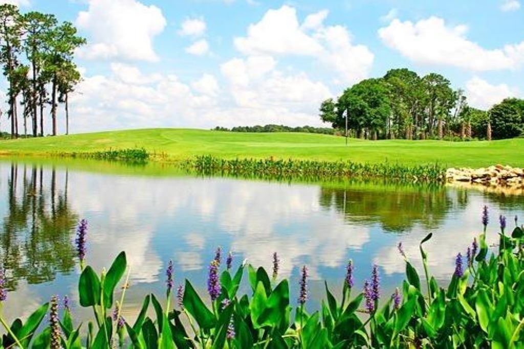 Photo of Others in Orange Lake