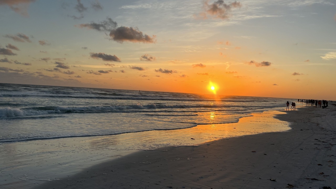 Photo of Others in Sarasota
