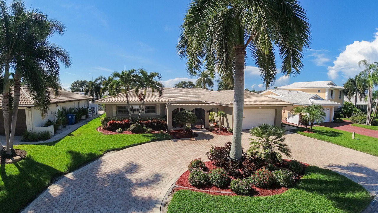 Photo of Outdoor in St. Petersburg - Clearwater