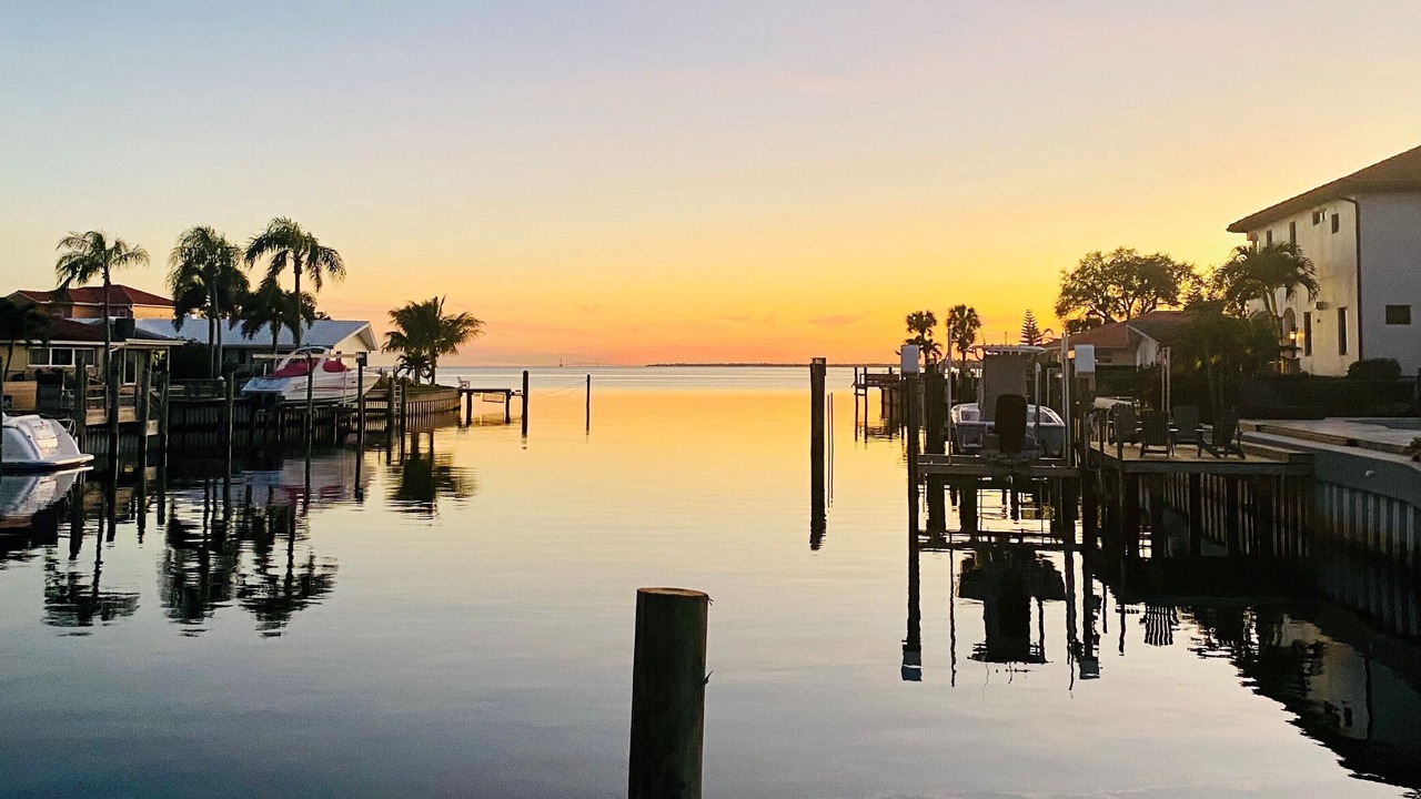 Photo of Outdoor in St. Petersburg - Clearwater