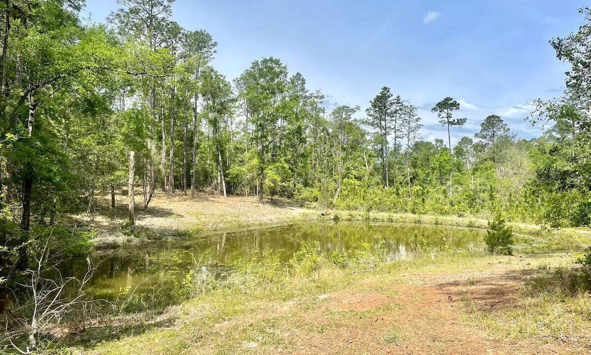 Photo of Outdoor in Cantonment