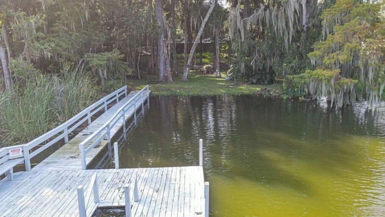 Photo of Others in Lake Panasoffkee