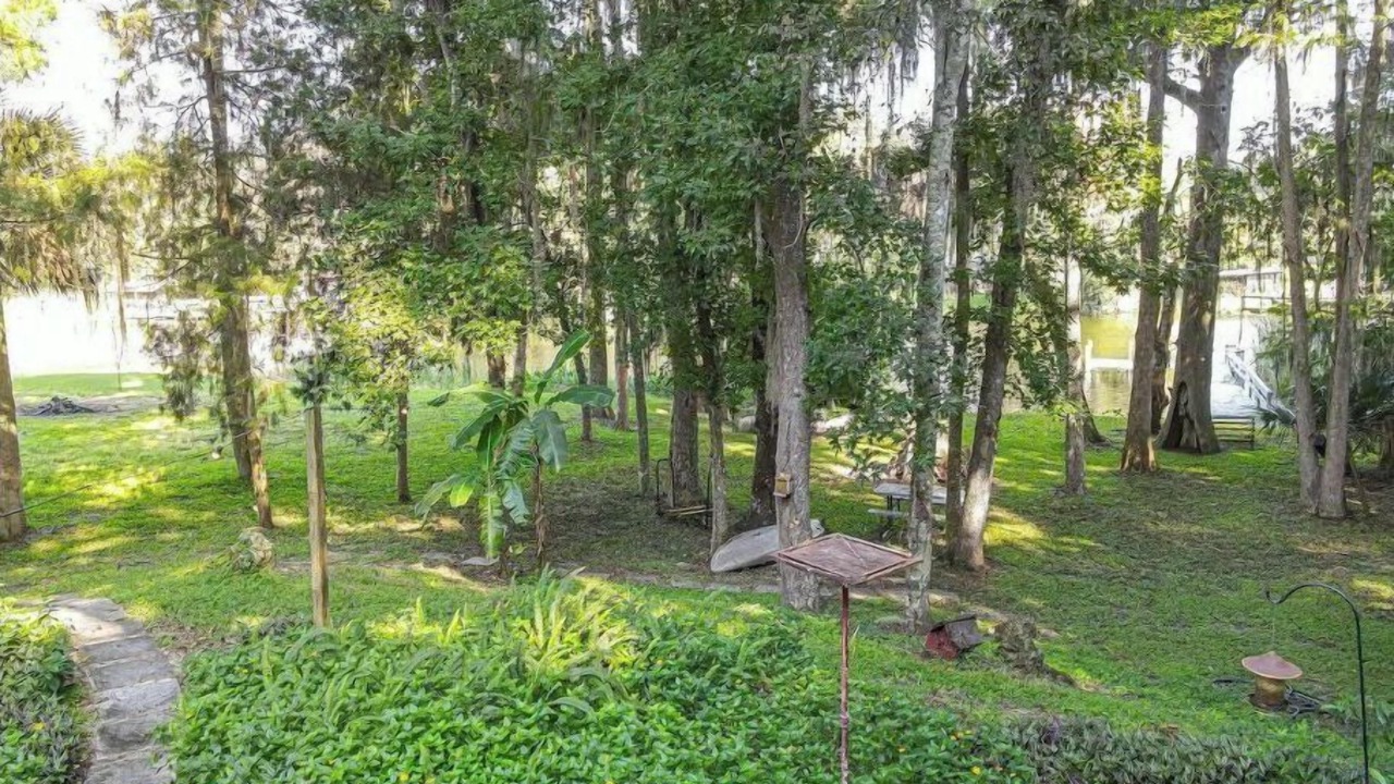 Photo of Outdoor in Lake Panasoffkee