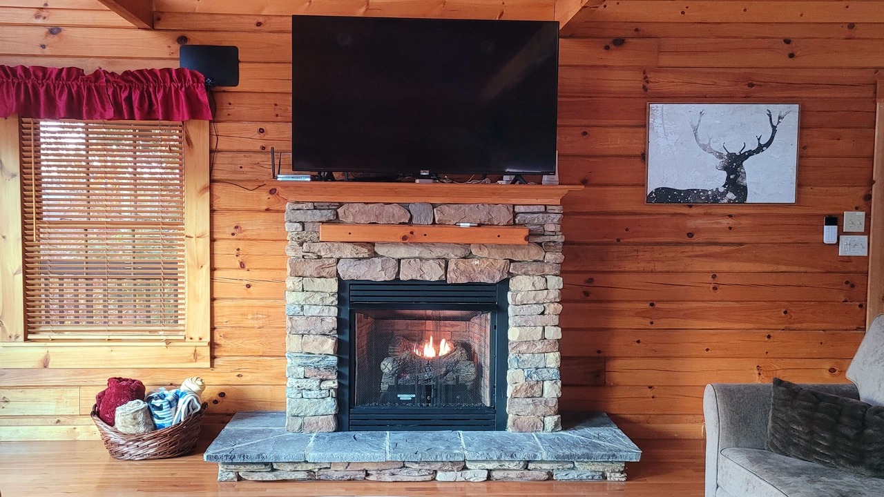 Photo of Livingroom in Bostic
