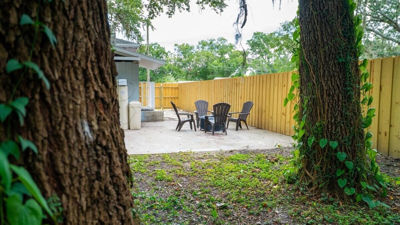 Photo of Outdoor in Carrollwood