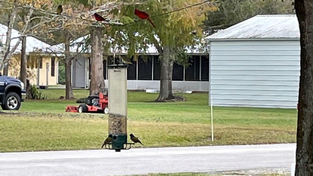 Photo of Outdoor in Lakeport