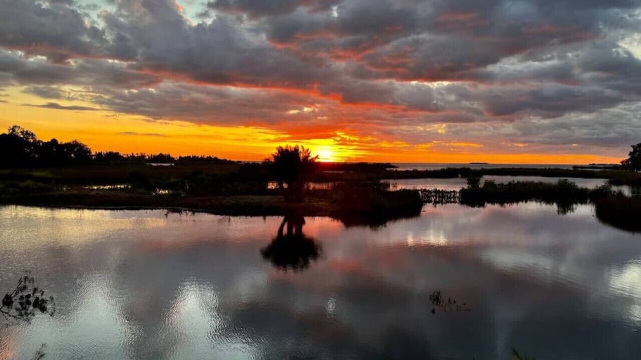 Photo of Outdoor in Spring Hill
