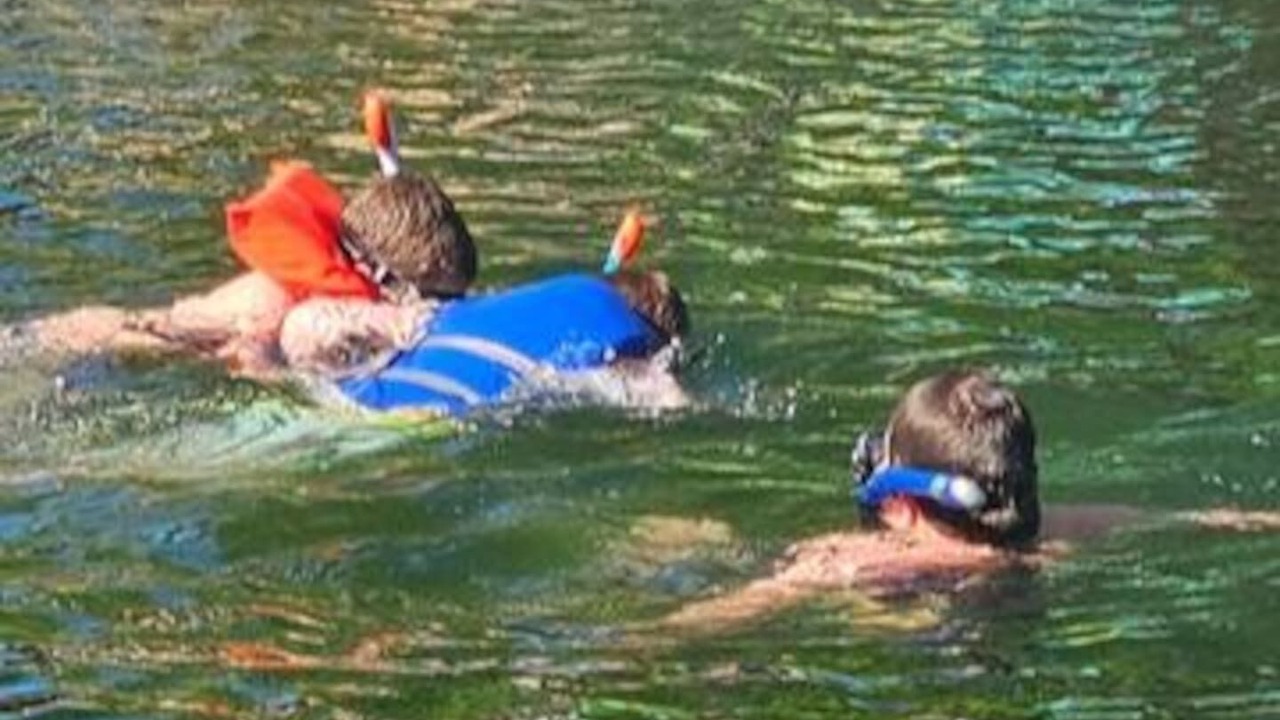 Photo of Others in Weeki Wachee Gardens