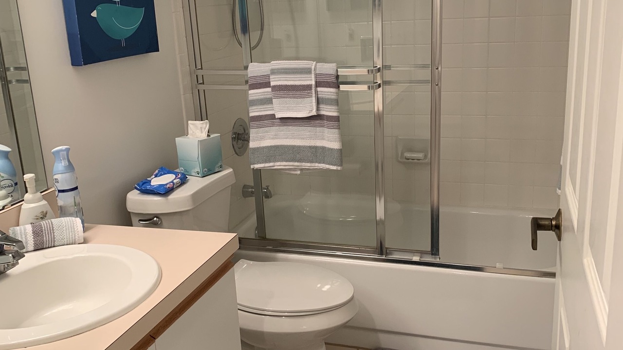 Photo of Bathroom in Palmetto