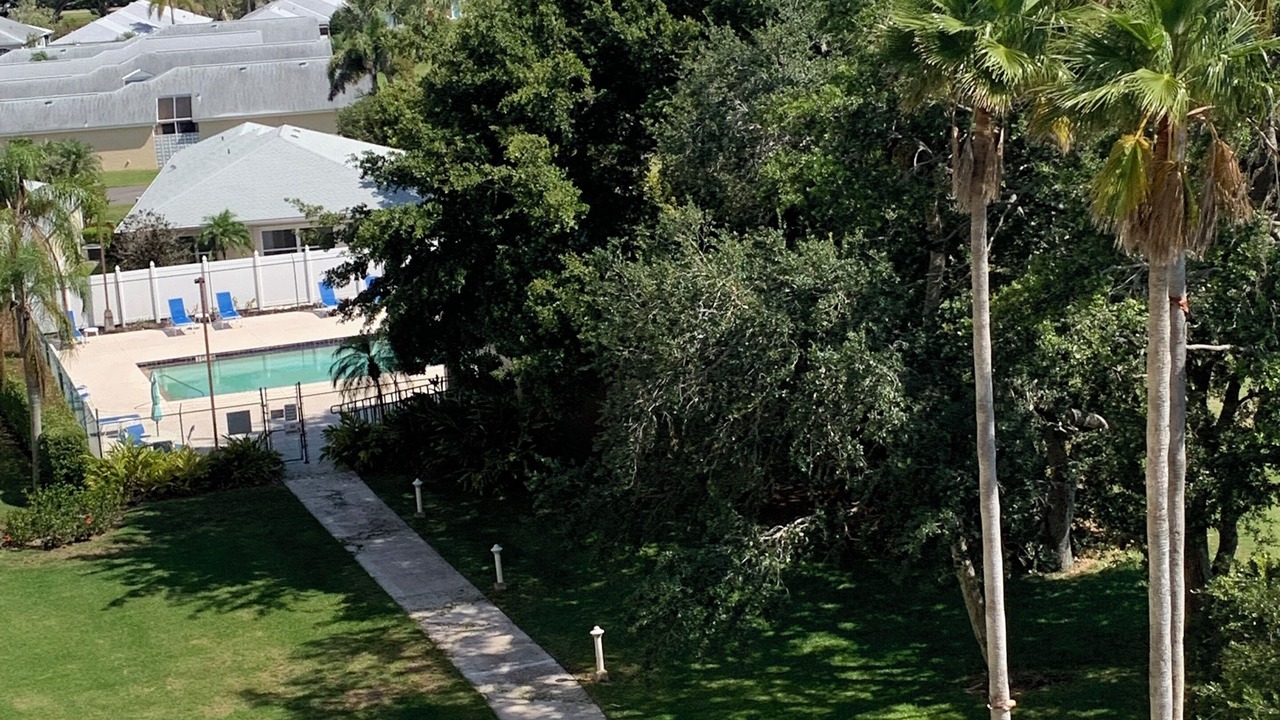 Photo of Outdoor in Palmetto