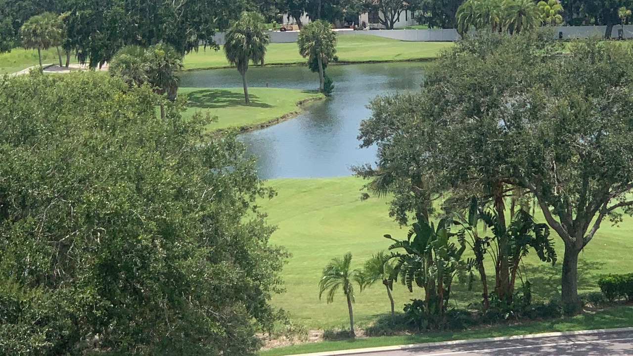 Photo of Others in Palmetto