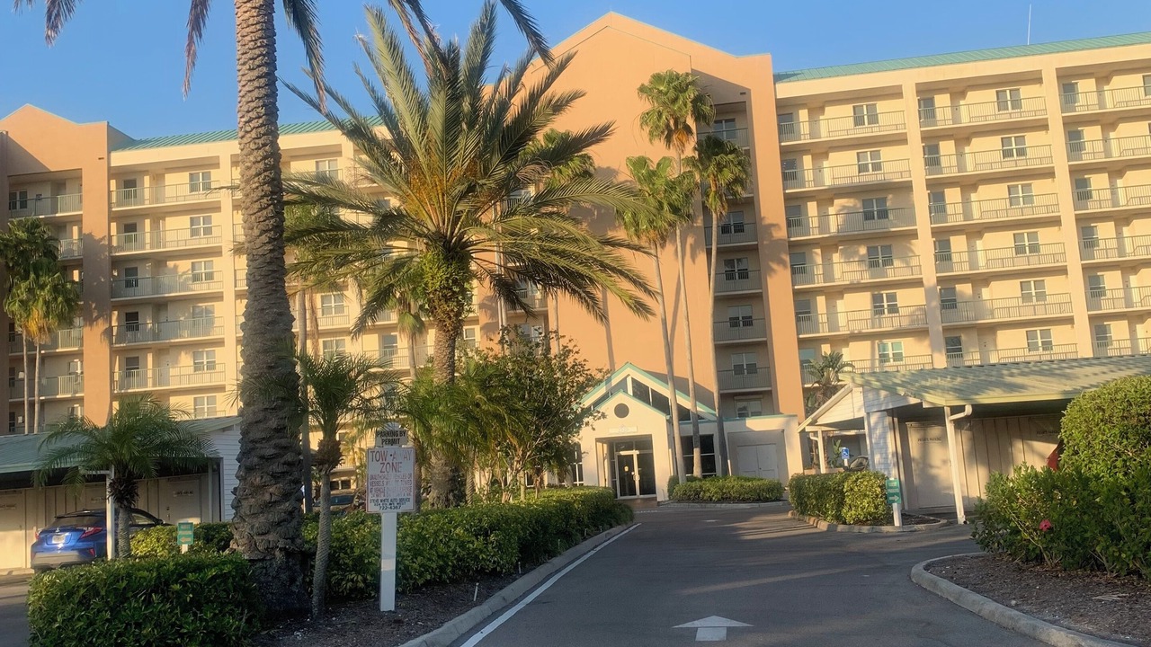 Photo of Outdoor in Palmetto