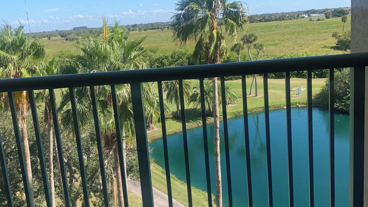 Photo of Outdoor in Palmetto