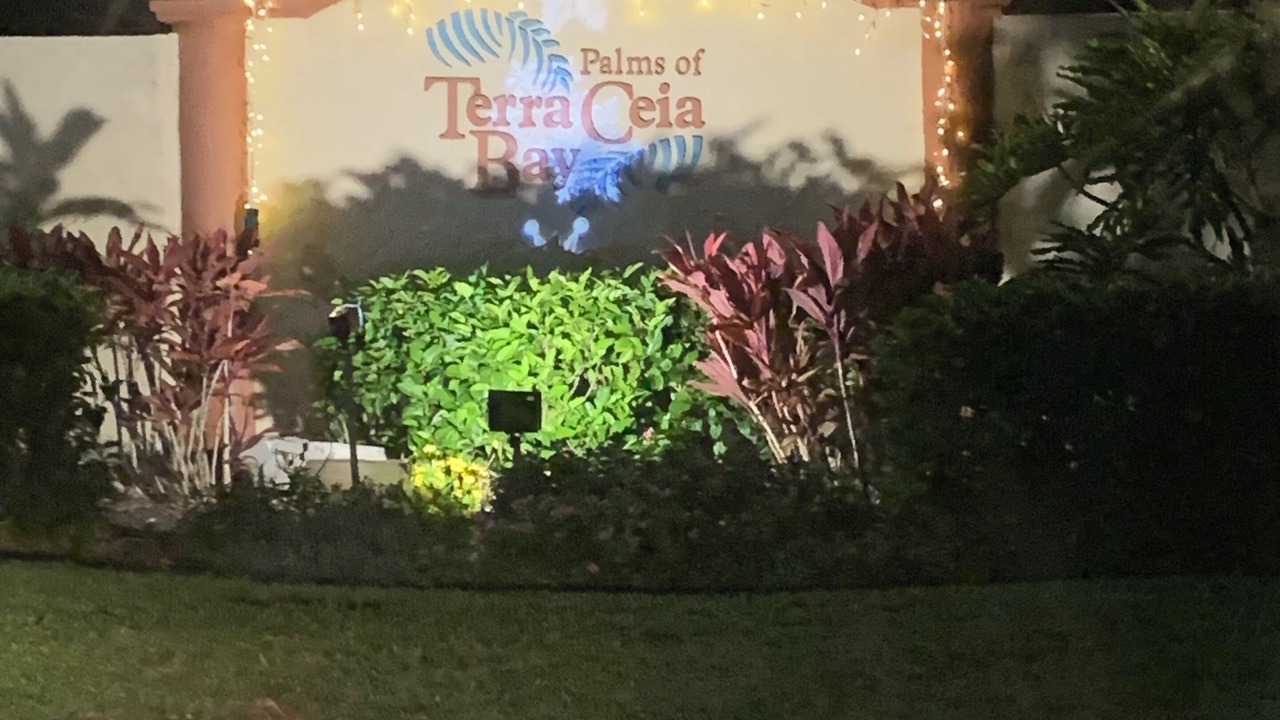 Photo of Outdoor in Palmetto