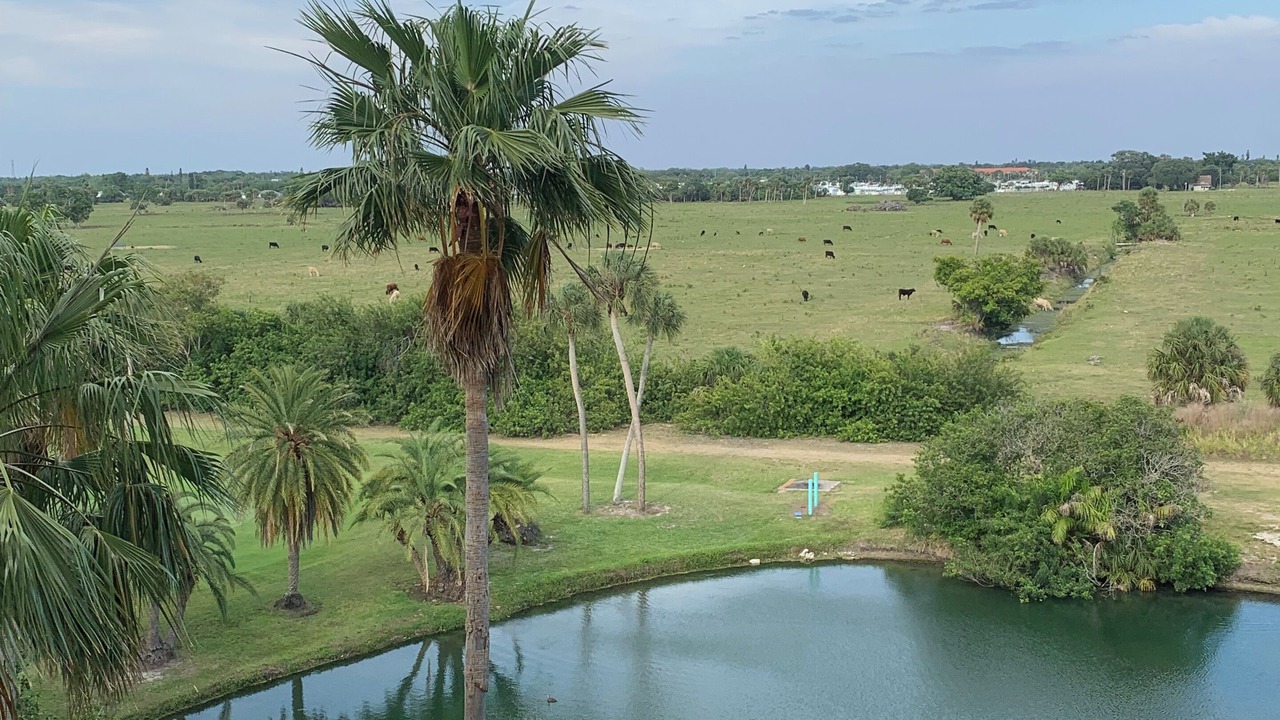 Photo of Outdoor in Palmetto