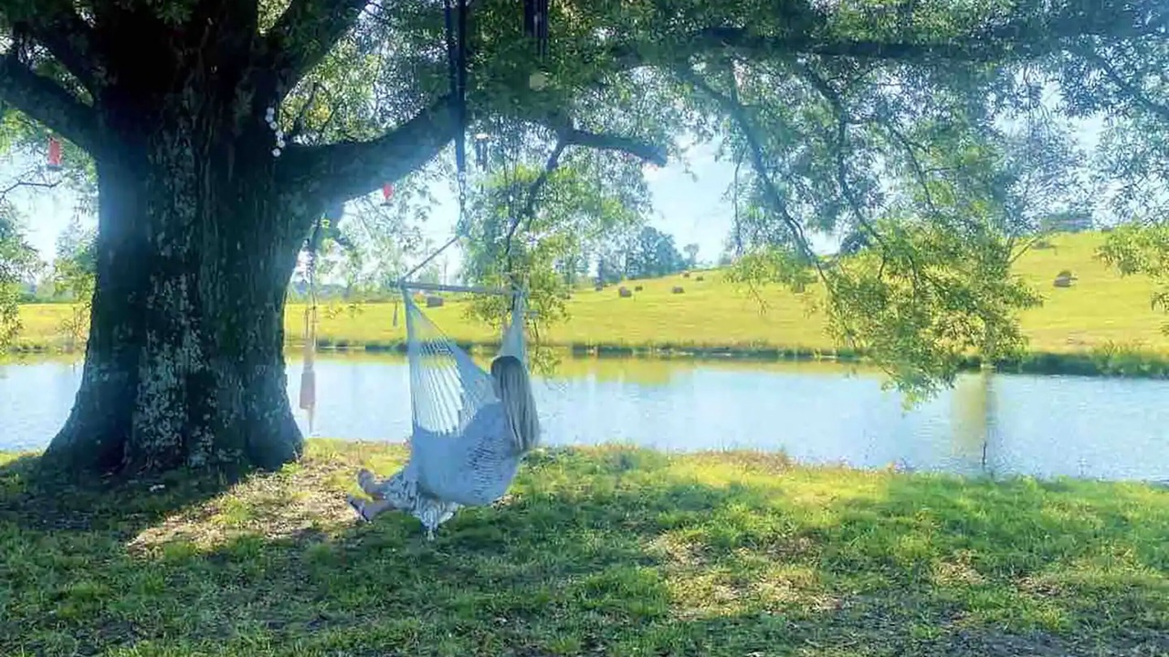 Photo of Outdoor in Trion