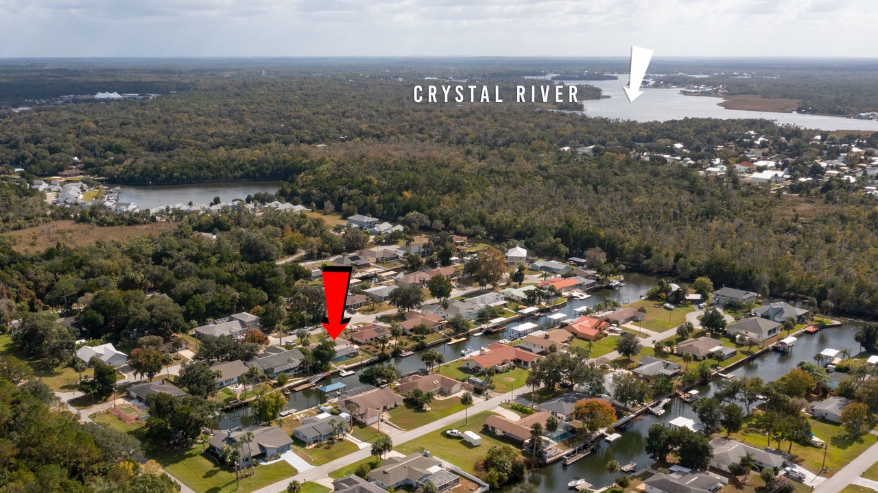 Photo of Others in Crystal River