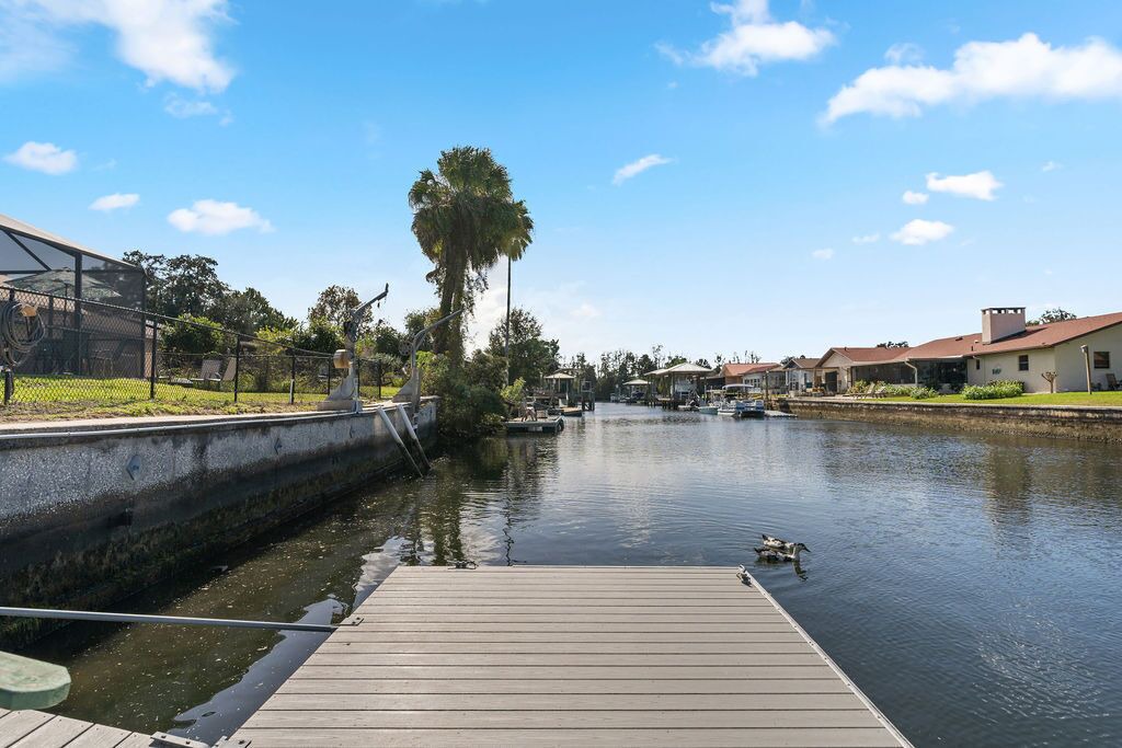 Photo of Outdoor in Crystal River