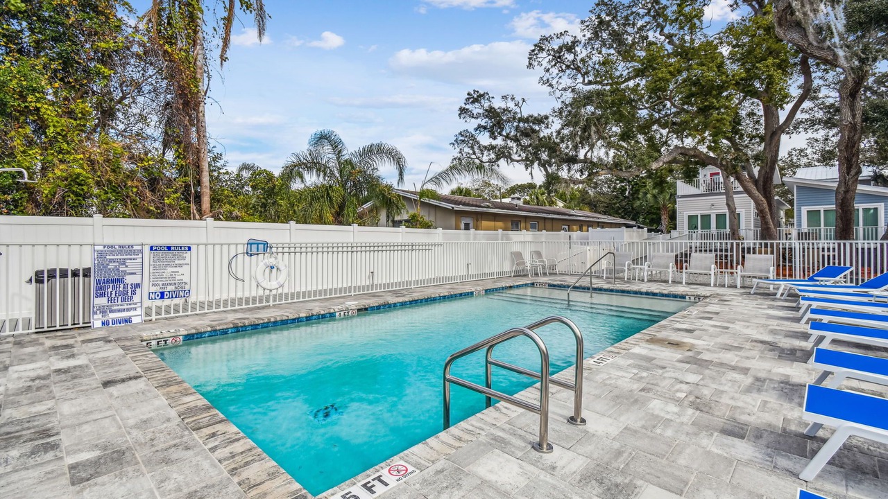 Photo of Outdoor in Dunedin
