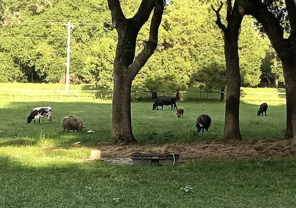 Photo of Others in Putnam Hall