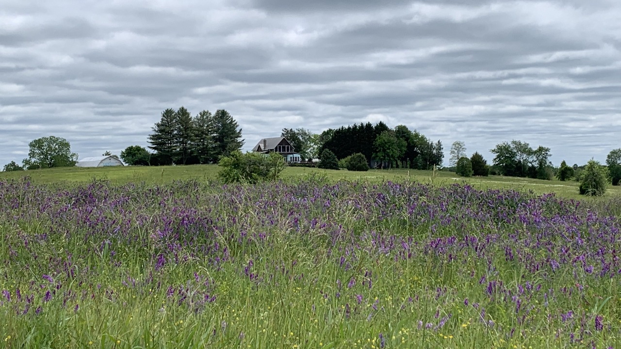 Photo of Outdoor in Mill Spring