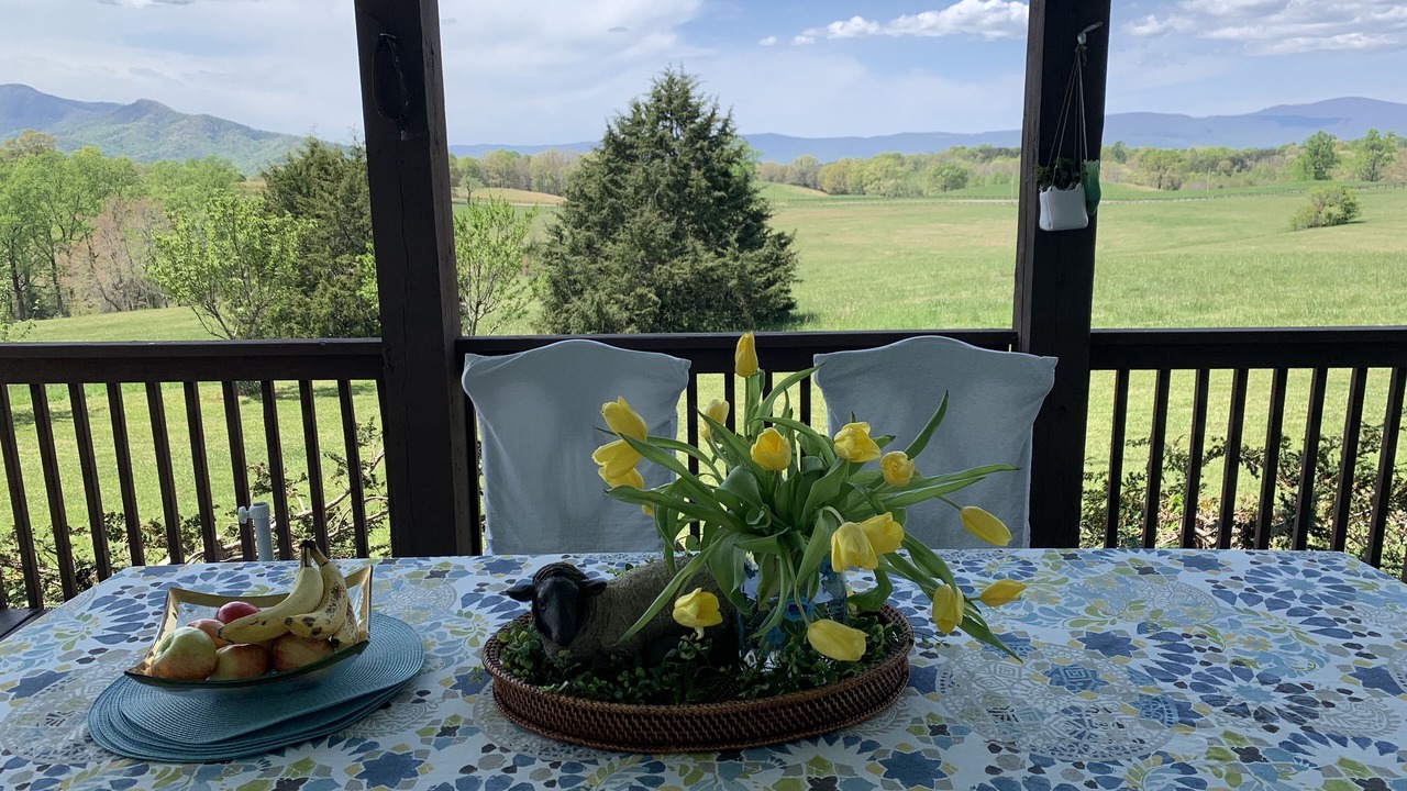 Photo of Outdoor in Mill Spring