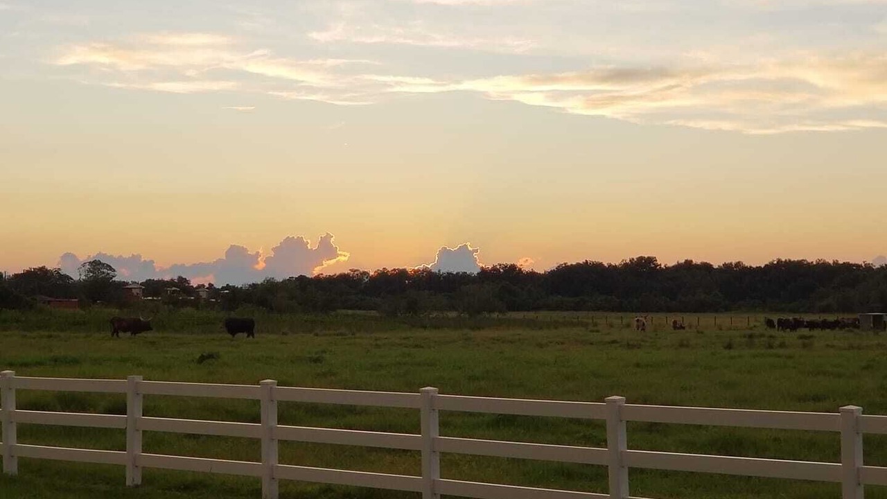 Photo of Outdoor in River Ranch