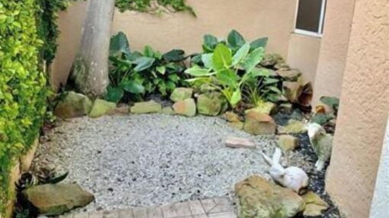 Photo of Outdoor in Pelican Bay
