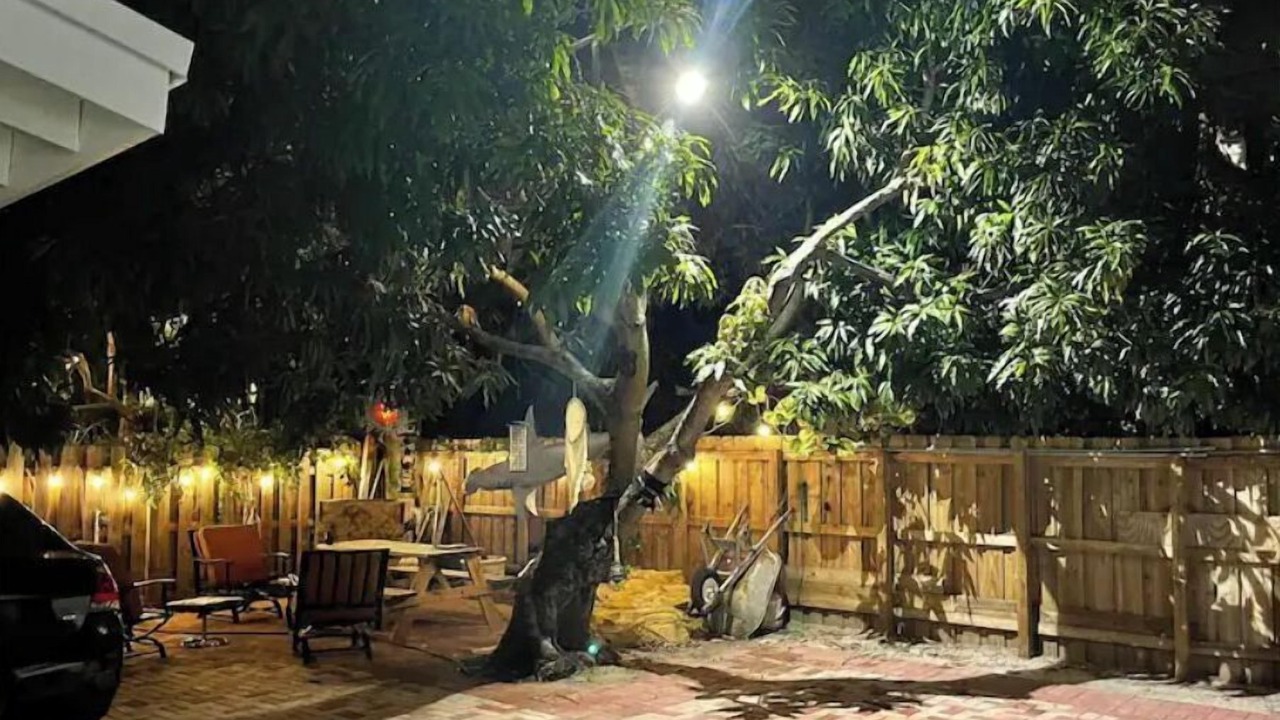 Photo of Patio Balcony in Victoria Park