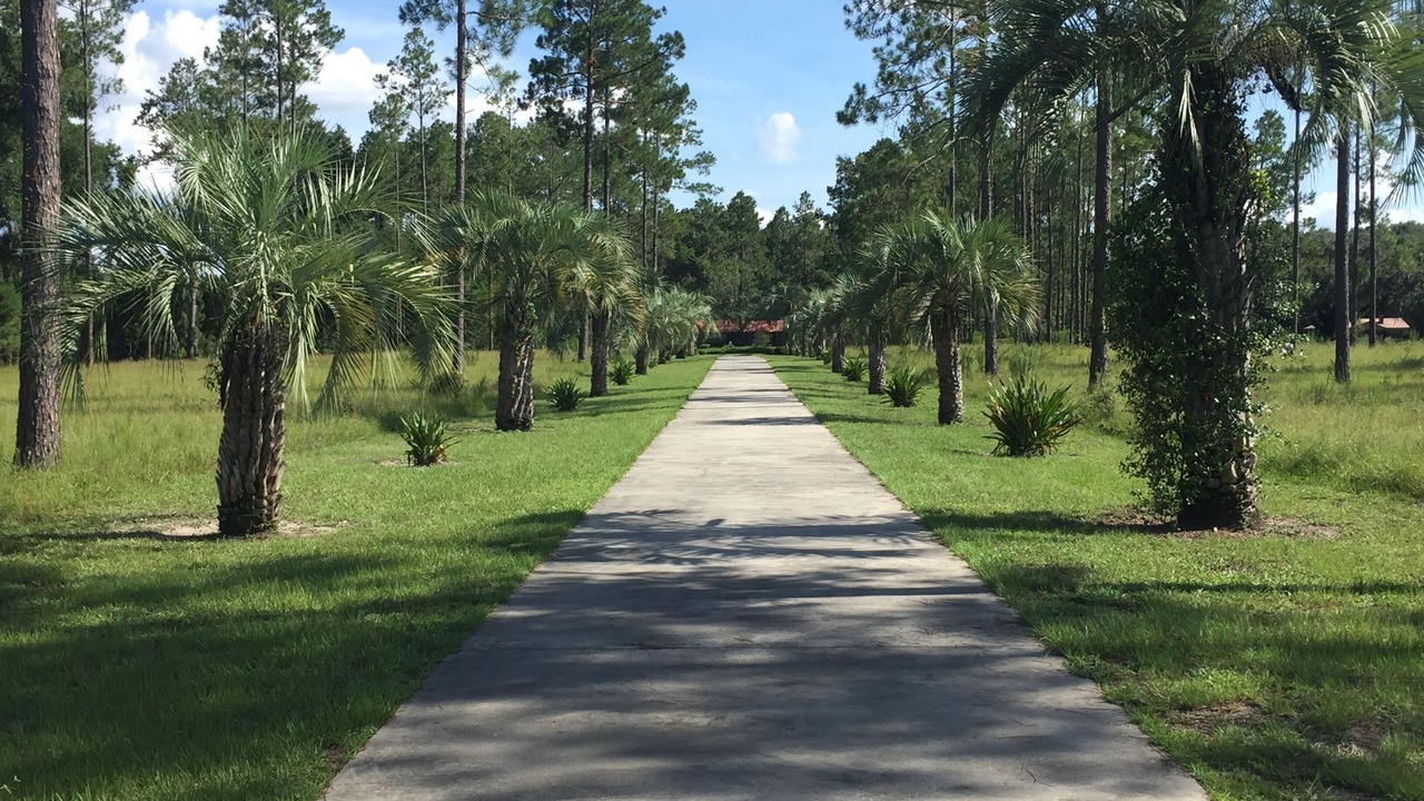 Photo of Outdoor in Live Oak
