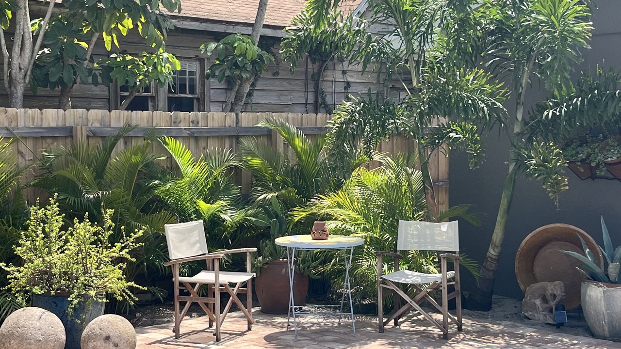 Photo of Others in Parrot Cove