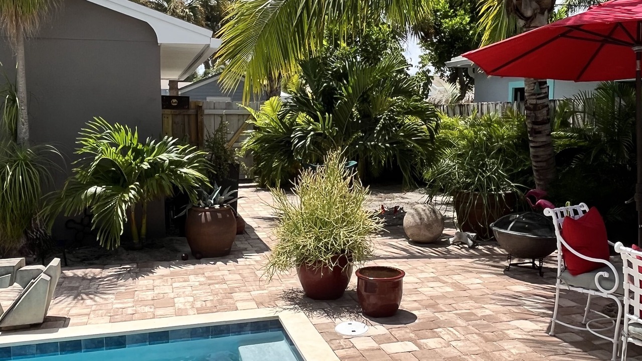 Photo of Others in Parrot Cove