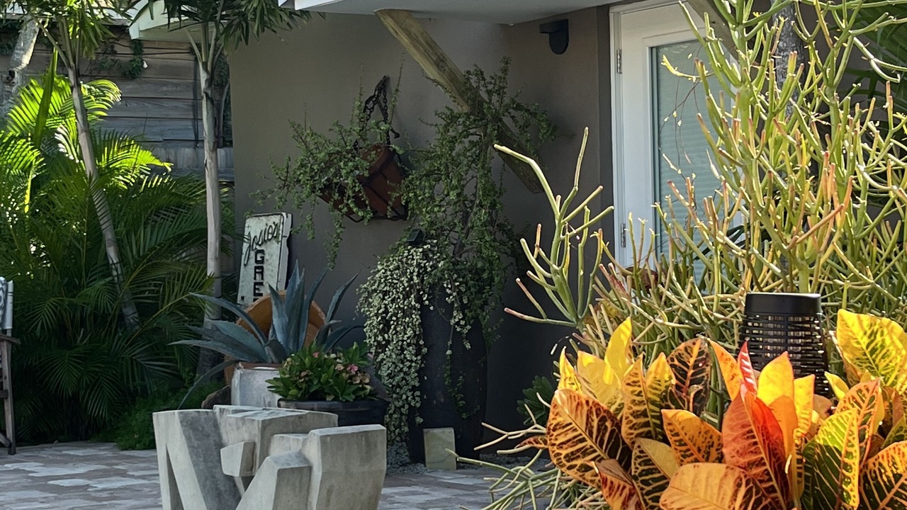 Photo of Others in Parrot Cove
