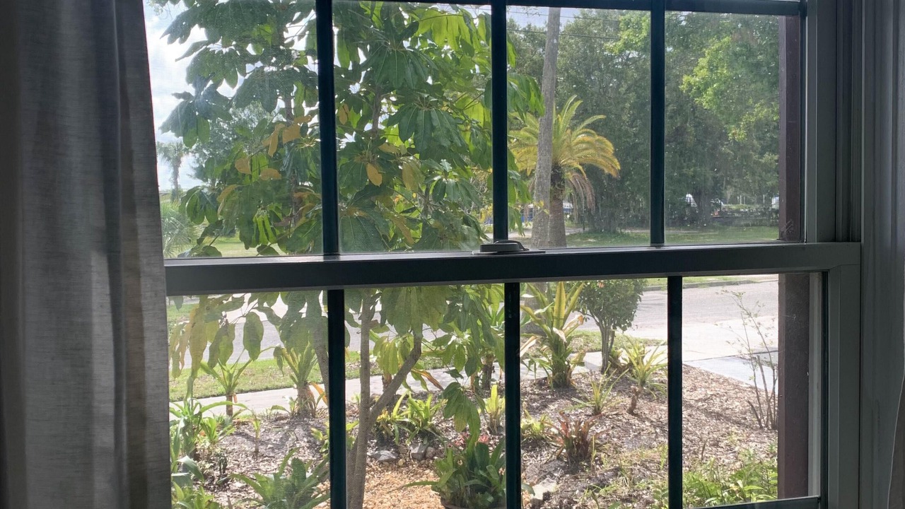 Photo of Outdoor in Bradenton