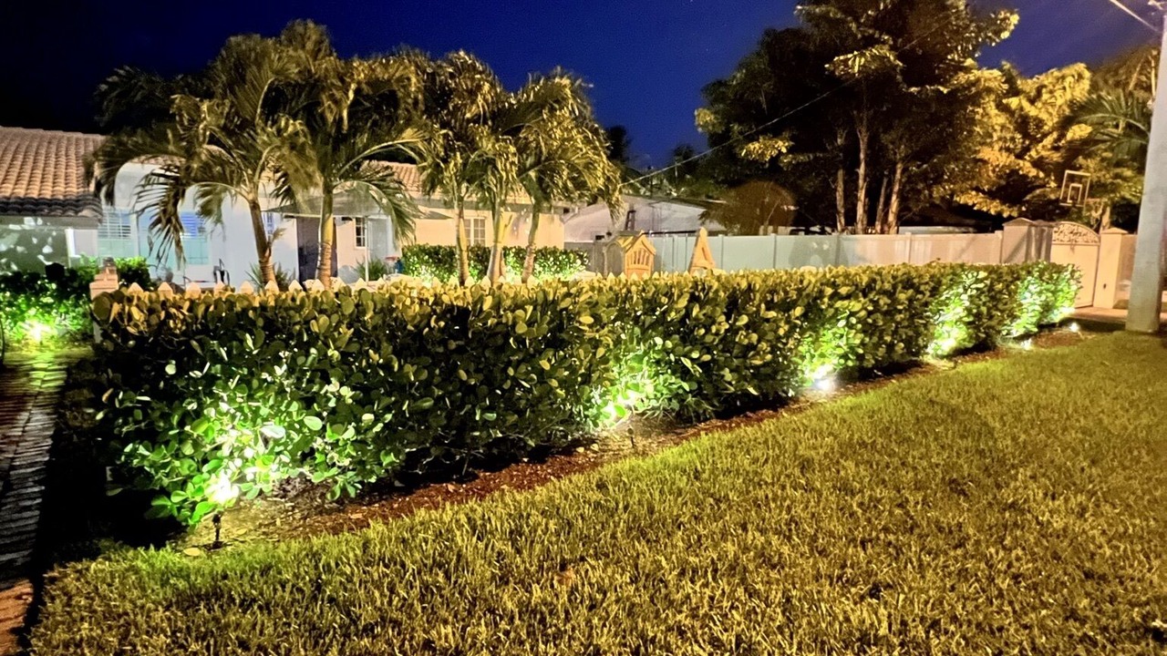 Photo of Others in Poinsettia Heights