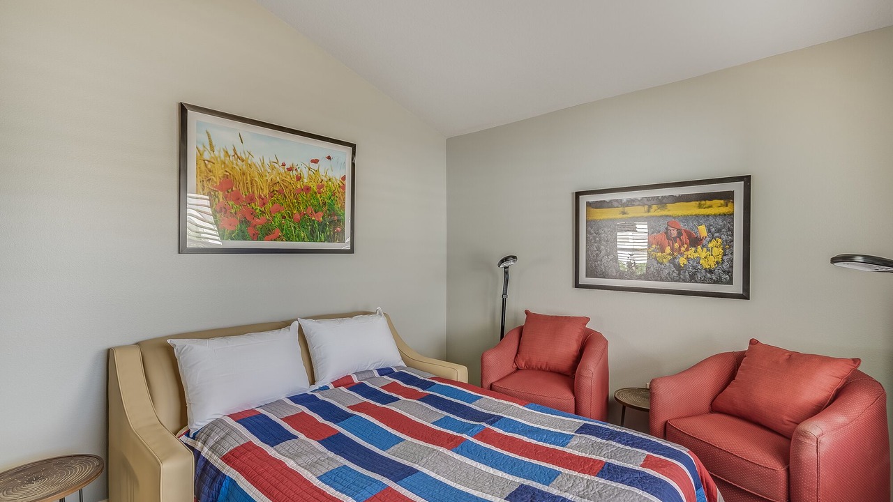 Photo of Bedroom in Dunedin