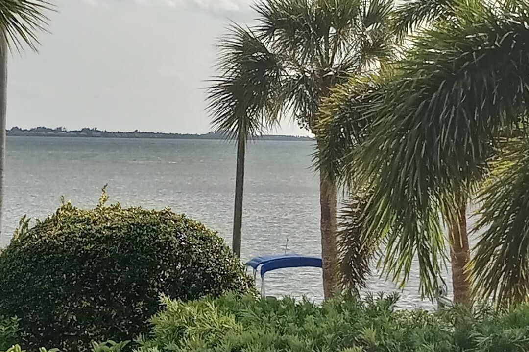 Photo of Outdoor in Bayshore Gardens