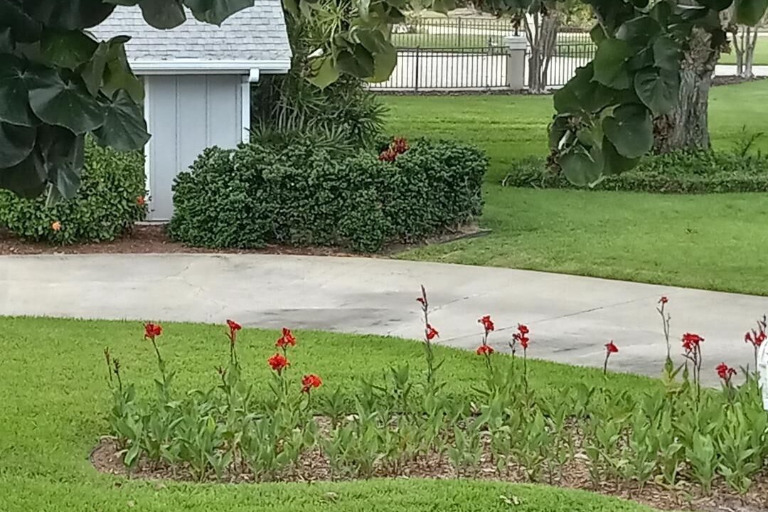 Photo of Outdoor in Bayshore Gardens