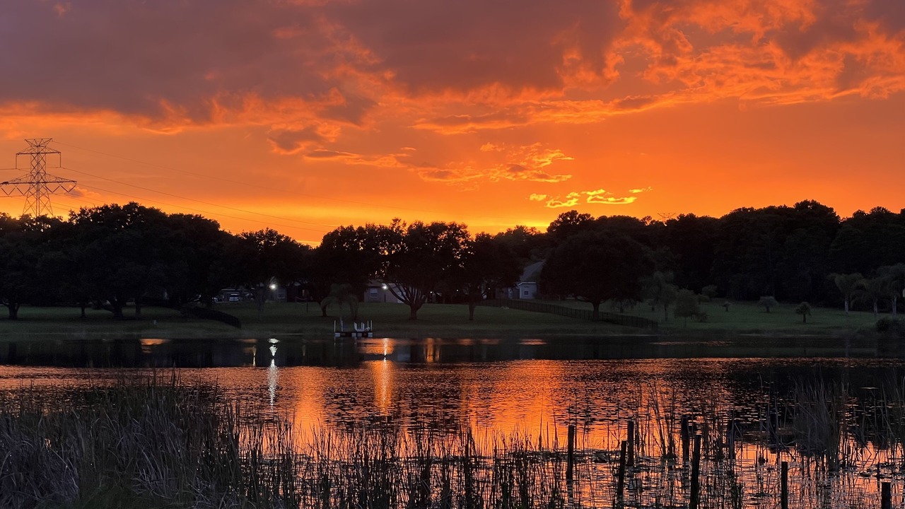 Photo of Outdoor in Clermont