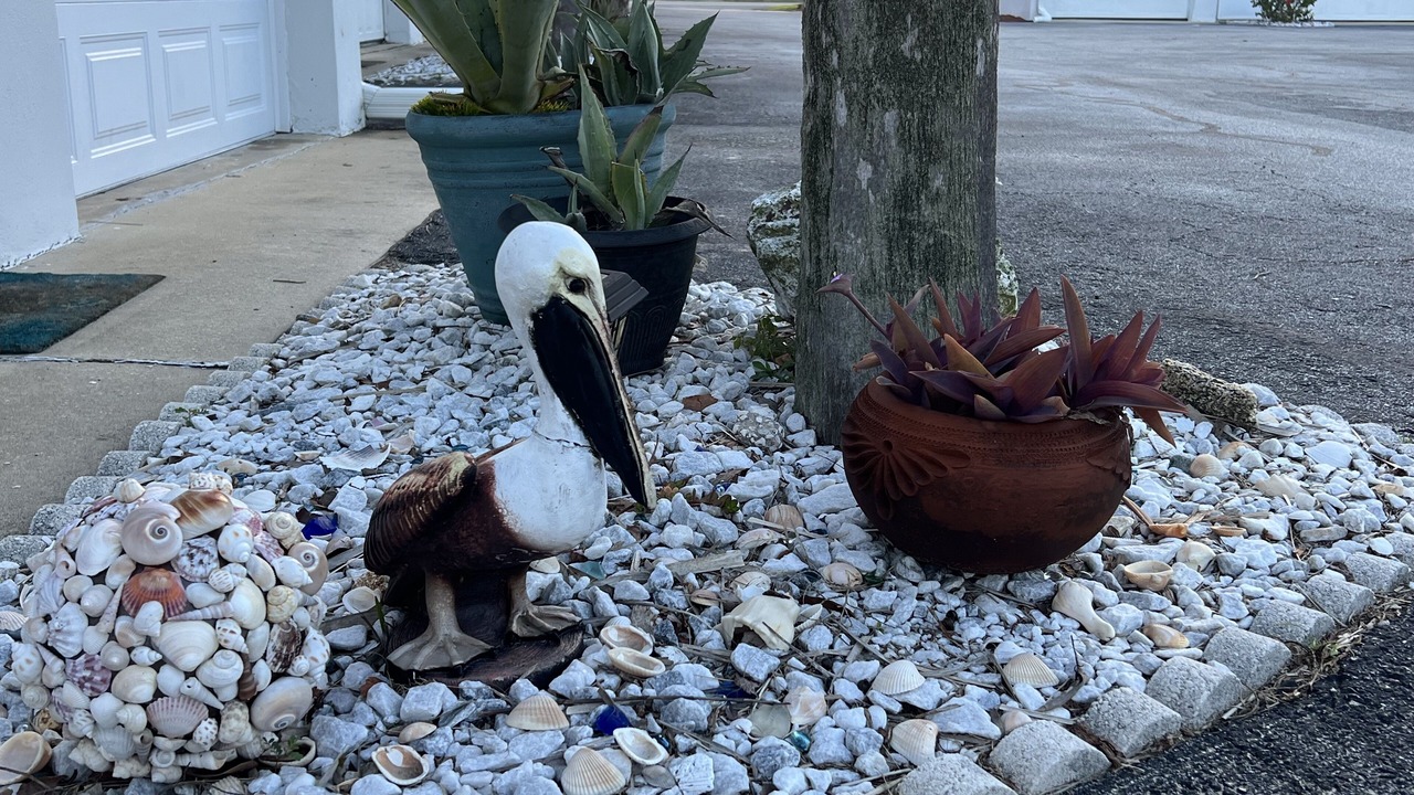 Photo of Others in Ormond-by-the-Sea