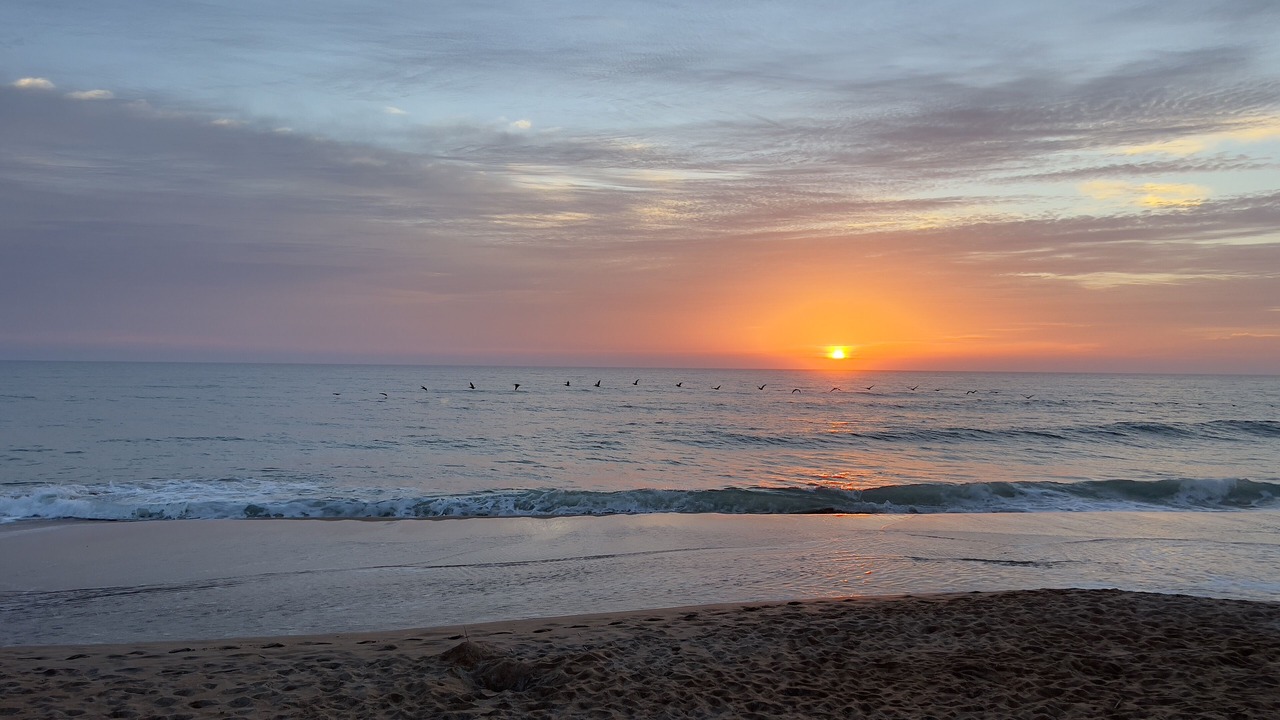 Photo of Others in Ormond-by-the-Sea