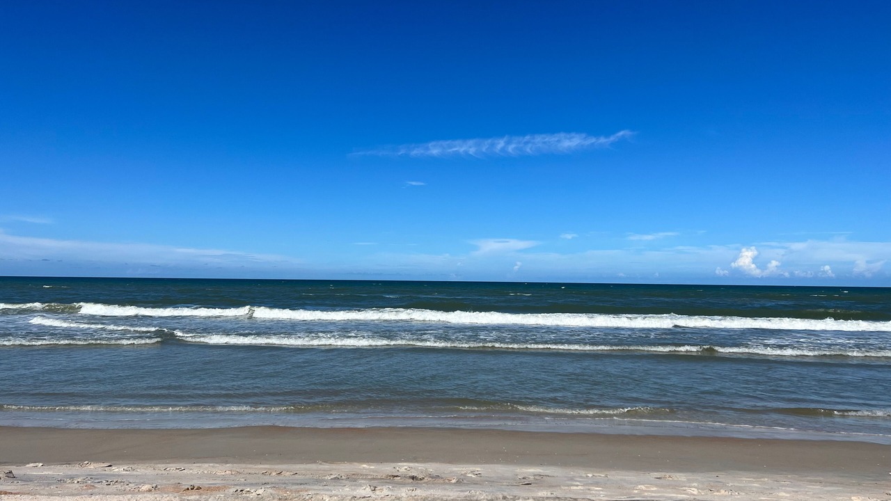 Photo of Others in Ormond-by-the-Sea