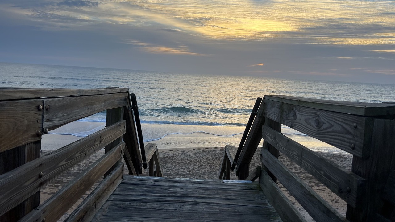 Photo of Others in Ormond-by-the-Sea