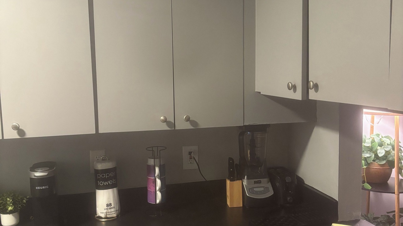 Photo of Kitchen in Kendall West