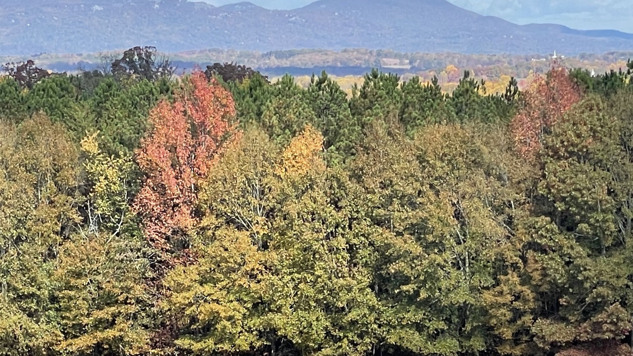 Photo of Others in Travelers Rest