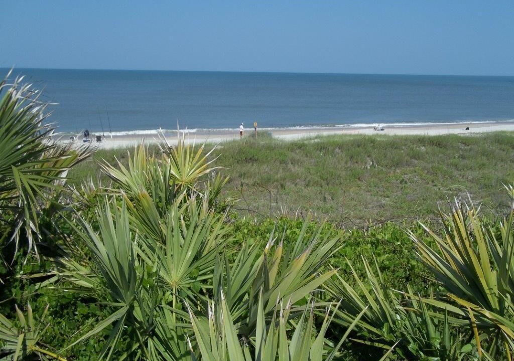 Photo of Others in Sawgrass