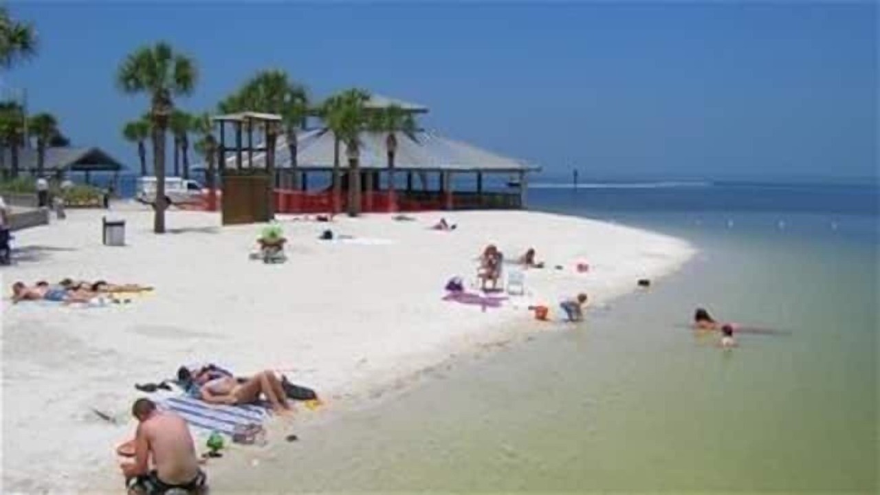 Photo of Others in Signal Cove