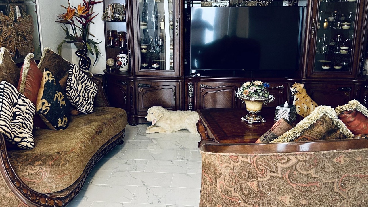 Photo of Livingroom in West Palm Beach