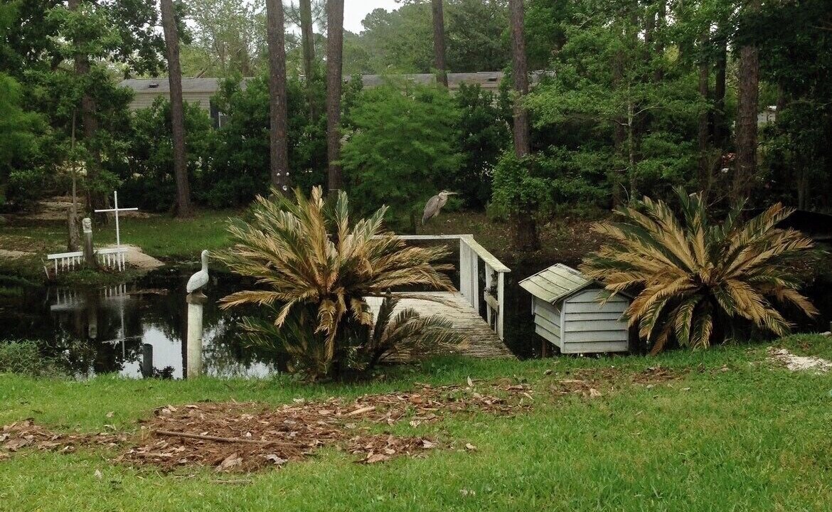 Photo of Others in Gulf Breeze